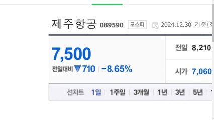 제주항공·여행사 주가 급락...에어부산은 올라 / YTN