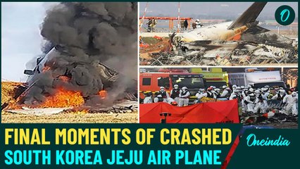 ‘Bird Strike, Bird Strike, Go-Around’: South Korean Plane’s Pilot’s Cry for Help Before Fatal Crash