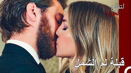 لم شمل عاطفي من العشاق السابقين - التفاح الحرام الحلقة ال 58