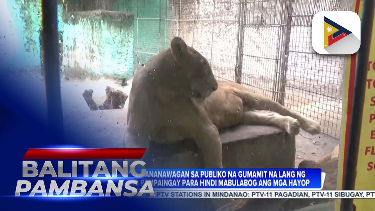 Malabon Zoo, nanawagan sa publiko na iwasan ang pagpapaputok para sa proteksyon ng mga hayop