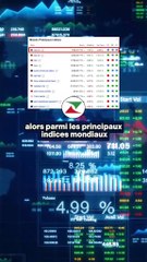 🚨 Quels indices boursiers ont surperfomé en 2024 ?