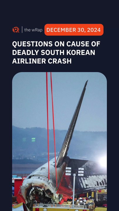 Experts question bird strike as cause of deadly South Korean airliner crash