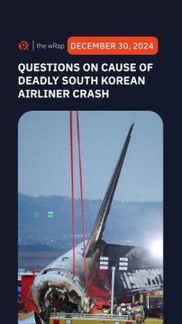 Experts question bird strike as cause of deadly South Korean airliner crash