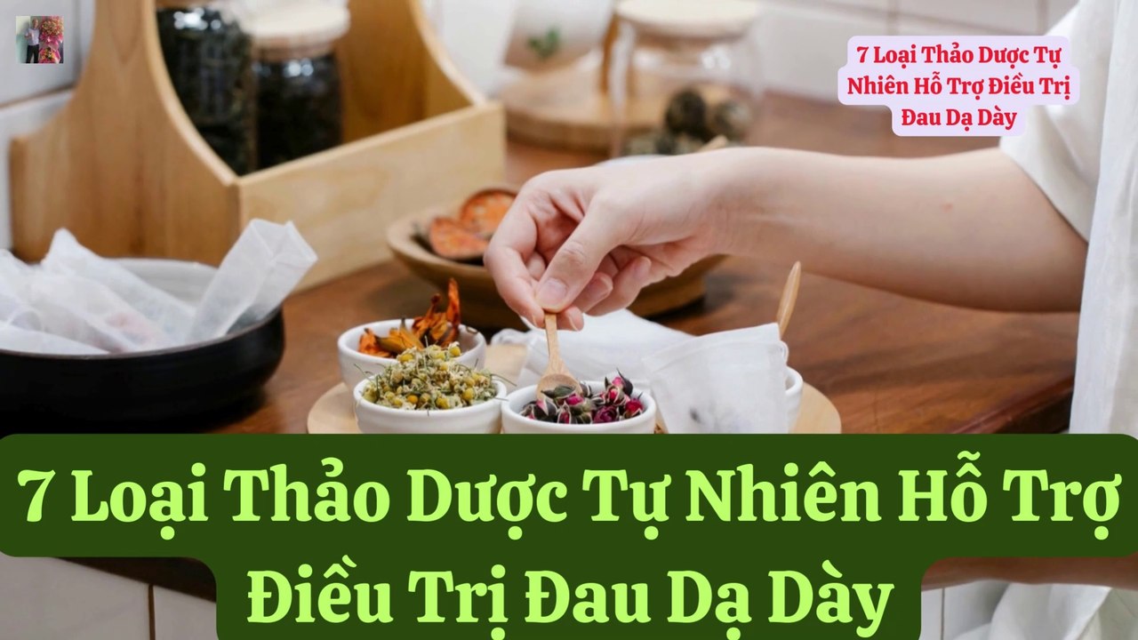 7 Loại Thảo Dược Tự Nhiên Điều Trị Dạ dày