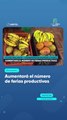 Aumentará el número de ferias productivas