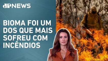 Aeroporto de Goiânia recebe mudas nativas do Cerrado; Patrícia Costa comenta