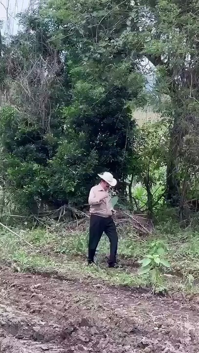 Pareja presidencial recibirá su último año de mandato en Olancho