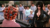 Elvira: Mistress of the Dark - if i'm interested in your opinion, i'll beat it out of you