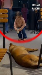 Cette petite fille apporte un verre d’eau à un chien dans la rue