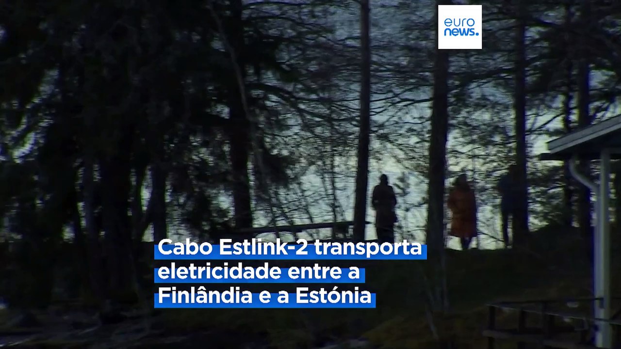 Investigadores finlandeses afirmam que danos nos cabos do Mar Báltico envolveram navio ligado à Rússia
