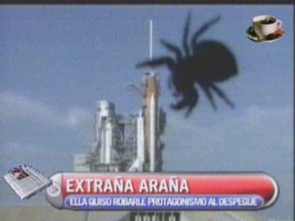 ARAÑA ATACA NASA