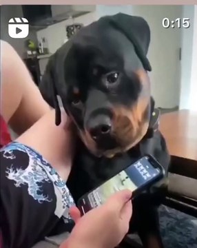 **Title: 10 Surprising Facts About Cats You Never Knew! **🐾 Welcome to