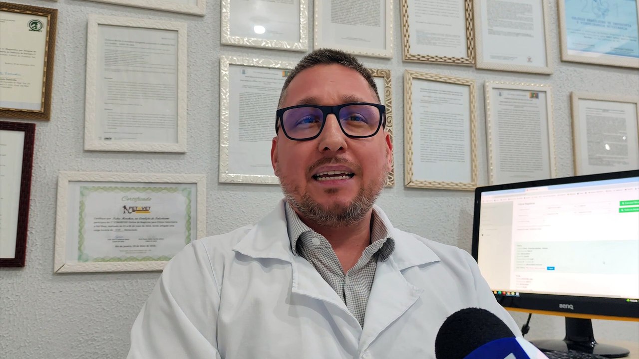 Fogos de artifício assustam Pets e aumentam casos de desaparecimentos; Se seu animal fugir, conte com a CGN!