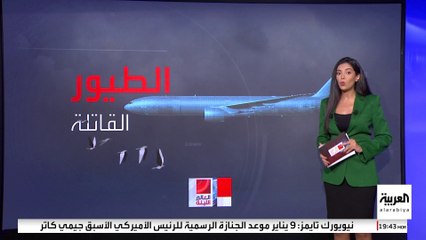 خبراء طيران يستبعدون سيناريو تسبب "الطيور" في سقوط الطائرة الكورية الجنوبية