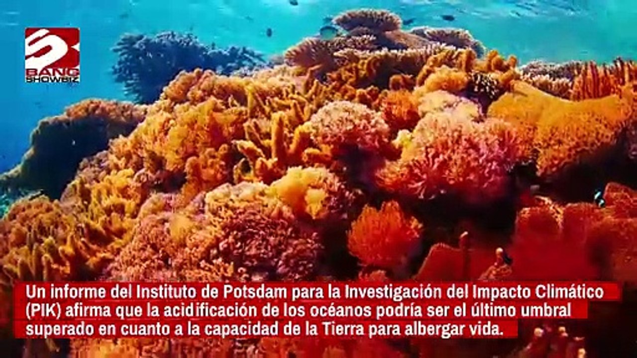 Los océanos de la Tierra son casi demasiado ácidos para sustentar la vida