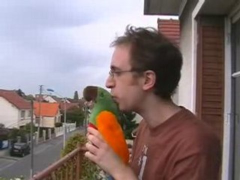 Concours Voyages-sncf: le Pigeon voyageur