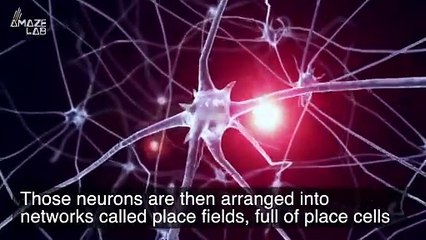 Is This How The Brain Experiences Being in Outer Space?