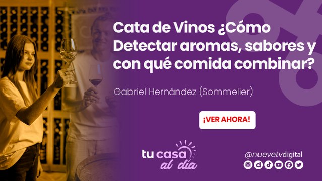 Cata de Vinos ¿Cómo Detectar aromas, sabores y con qué comida combinar?