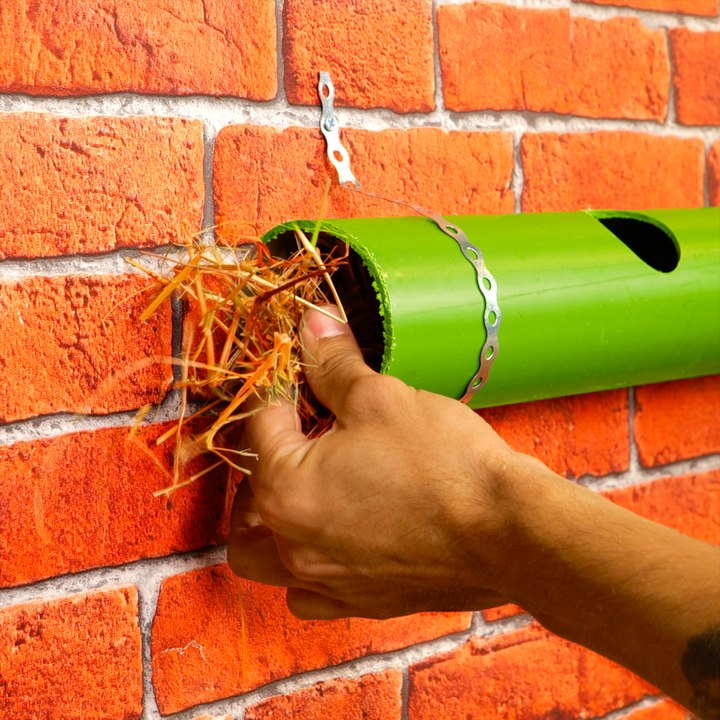 Vertical Gardening Hacks: Maximizing Space and Greenery with Ease! 🌱🔧