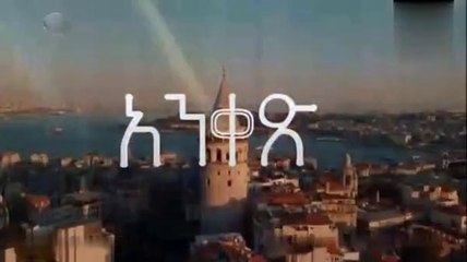 ankes 56_2024-12-30_20-12-57_2024-12-30_21-45-43