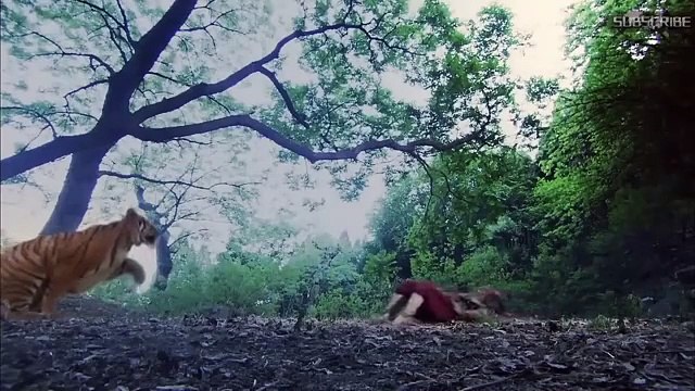 [2024 Full Movie]Chinese Kung Fu Masters Battle It Out! _ Martial Arts Movies