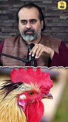 संडे हो या मंडे... || आचार्य प्रशांत