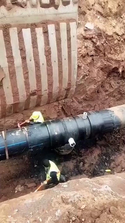 3151873616453603057_57406188555