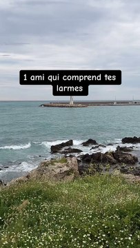 Les mots doux ne sont pas toujours vrais #motivation #success #inspiration