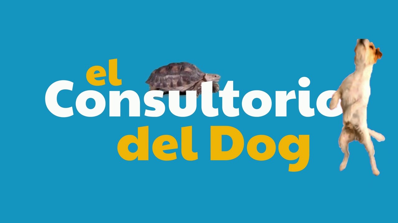 El consultorio del Dog