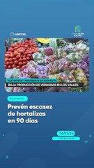 Prevén escasez de hortalizas en 90 días