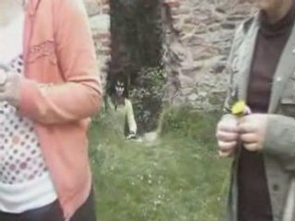 THE CRAMPS - I WAS A TEENAGE WEREWOLF