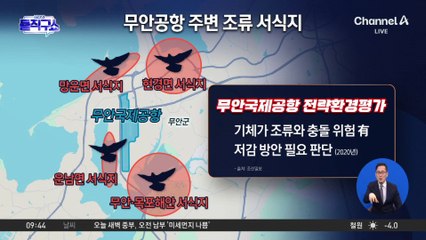 조류 퇴치 설비 부실?…새 떼 준비 안 된 공항