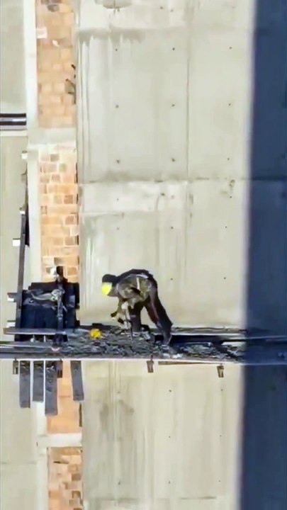 Fearless construction worker
