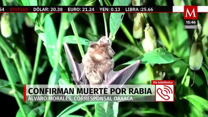Autoridades de salud confirman segunda muerte por rabia en Oaxaca