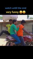 Funny vedeos . cat cake 🍰