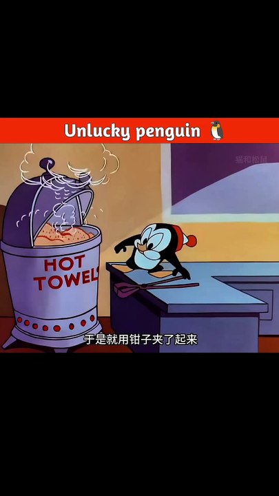 Unlucky penguin 🐧