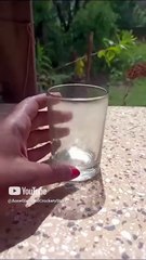 Aone Glass and Crockery Store Glassware, Tableware