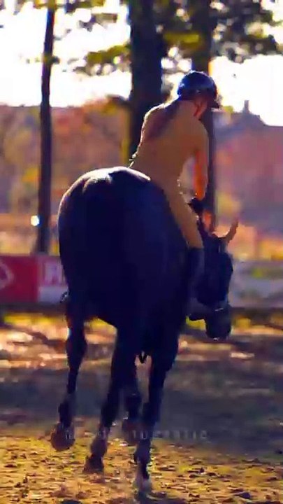 Horse🐎🐎 lovers