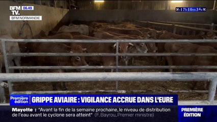 Grippe aviaire: 54 communes placées sous surveillance dans l'Eure