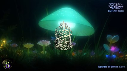 Timeless Lessons and Spiritual Insights from Noah’s Story You Can’t Miss!