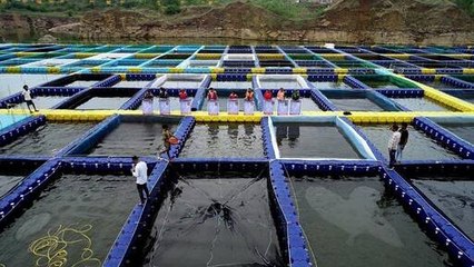 Prime Minister Fisheries Scheme Chhattisgarh