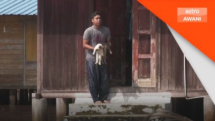 Banjir: Sanggup redah semata-mata mahu beri makanan kepada kucing