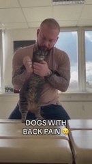 Cuando un quiropráctico ayuda a tu perro y sus reacciones son para enmarcar