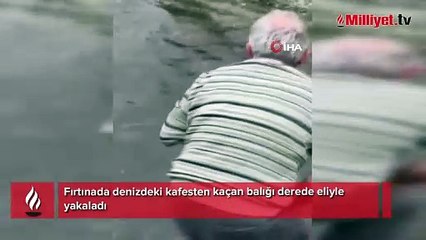 Fırtınada denizdeki kafesten kaçan balığı derede eliyle yakaladı