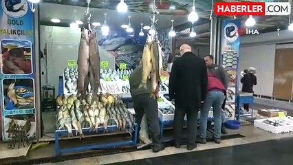 Botan Çayı'ndan Yakalanan Dev Turna Balığı Batman'da Sergilendi