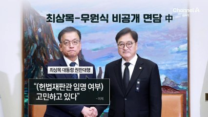 쌍특검법·헌법재판관 처리…최상목 권한대행의 선택은?