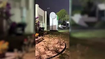 Un oso sorprende a Demichelis y su familia en su casa