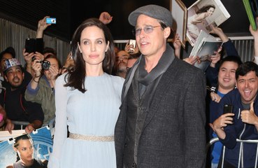 Brad Pitt and Angelina Jolie have reached a settlement in their divorce  eight years after she filed to end their marriage