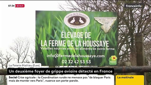 Grippe aviaire: Un deuxième foyer a été détecté en France - Le pays perd son statut indemne , annonce le ministère de l’Agriculture - VIDEO