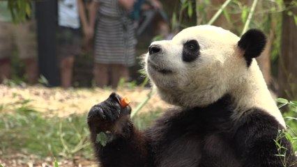 Rétrospective 2024 : l'année en images